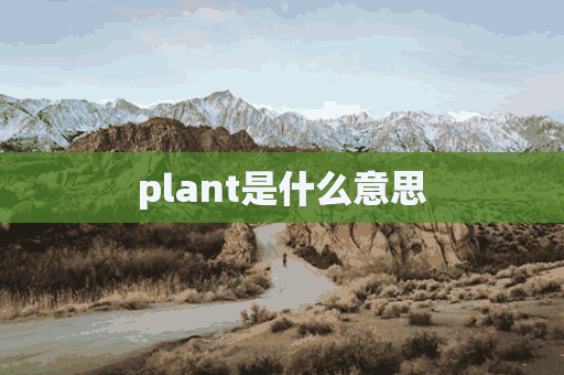 plant是什么意思(plan是什么意思)